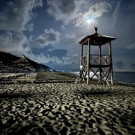 Driton's Daire Shëngjin