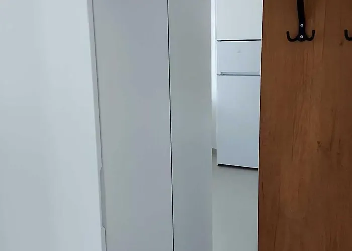 Driton's * Shëngjin