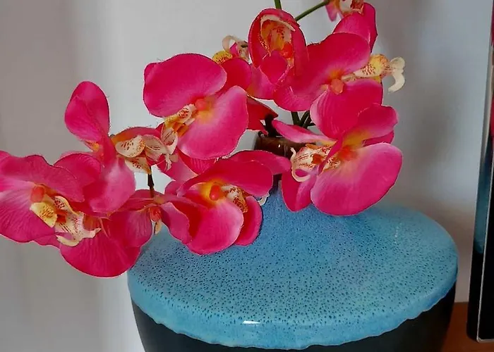 Apartamento Driton's